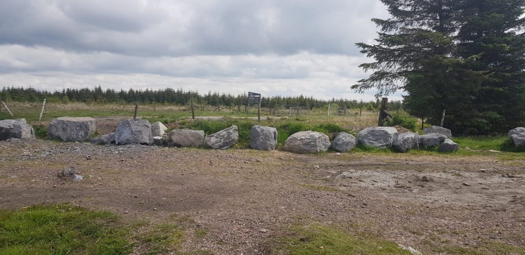 Ferndale Dragon Spotted In&nbsp;Llanwonno