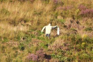 The Scarecrow up close.